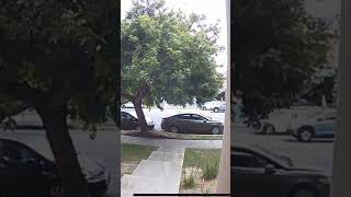 Girl Caught Stealing Package from Doorstep on Camera  Shocking Footage [upl. by Alletsirhc]