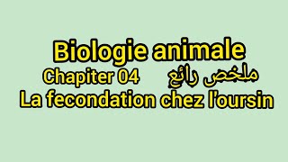 Biologie animale L1 s2 chapiter04 la fecondation chez loursin [upl. by Abocaj605]