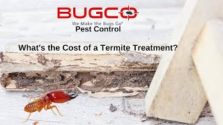 Whats the Cost of a Termite Treatment [upl. by Vacla296]