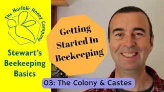 Getting Started in Beekeeping 03 Colony and Castes  Beekeeping Basics   The Norfolk Honey Co [upl. by Snilloc]