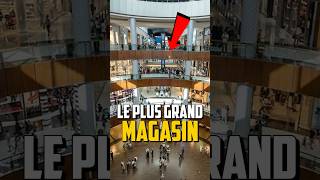 LE PLUS GRAND MAGASIN DU MONDE [upl. by Robma211]