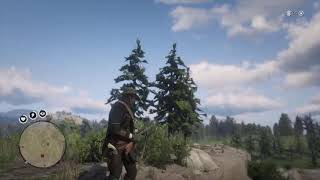 Red Dead Redemption 2  Perfect Cedar Waxwing kill ESTPROOs Guides [upl. by Menell]