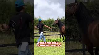 Mi Caballo Pobre  Invasores de Nuevo León [upl. by Champagne]