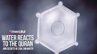 Water Reacts to the Quran amp Secrets of ZamZam [upl. by Ymeon]