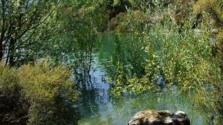 LE LAC SAINT CASSIEN [upl. by Berman]