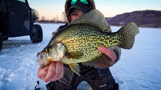 Backwater Crappies on the Mississippi River  Catching Crappies Right Under the Ice [upl. by Jardena]