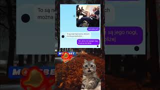 capcut meitu polska śmieszne czat smieszne duet fup viral [upl. by Yeltsew]