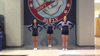 Cheer and Chants for Stone Bridge High School [upl. by Nicolea]