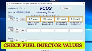 How to check fuel injector values with VCDS VAGCOM for VW Audi Seat Skoda [upl. by Mccandless]