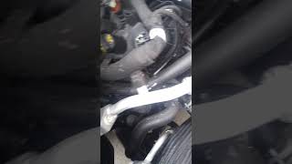 2018 F150 50  idle squeakchirping noise FIXED SEE DESCRIPTION [upl. by Lasley920]