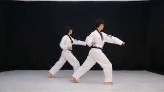 Poomsae 3태극 3장 [upl. by Amled]