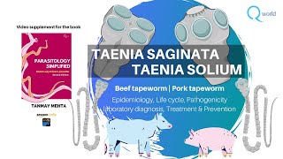 Taenia saginata and solium Parasitology Tutorials NEETPG NEXT USMLE UKMLE FRCPath Review [upl. by Ulrick639]