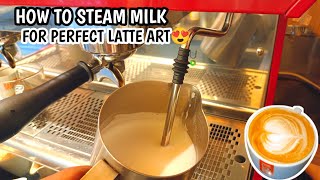 How to Froth Milk for A Perfect Latte Art Tips and Tricks For Beginners [upl. by Samid633]