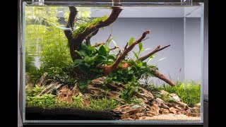 NonCO2 Aquascape Tutorial  How to Set Up an Easy Low Energy Aquascape [upl. by Sams]