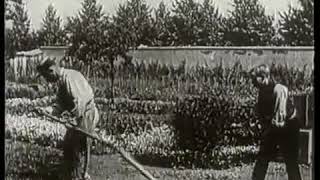 quotThe Gardenerquot or quotThe Sprinkler Sprinkledquot Lumière Brothers France 1895 [upl. by Atcliffe]