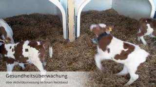 FörsterTechnik Smart Calf System deutsch [upl. by Nikolas223]