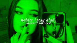 Tove Lo  Habits Stay High Techno Remix [upl. by Estrin475]