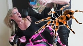 TERRIFYING TARANTULA PRANK [upl. by Dunseath96]