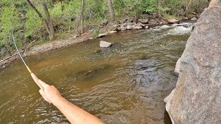 Small Creek Tenkara Euro Nymphing During Spring Runoff 4K HD [upl. by Ssidnak713]