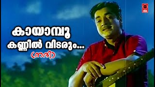 Kayampoo Kannil Vidarum  Nadhi1969  KJ Yesudas  Vayalar ramavarma  G Devarajan  Movie Song [upl. by Leora]