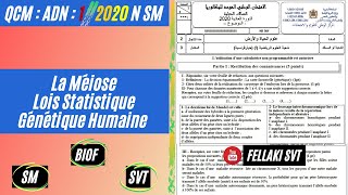 QCM1 2020 N BIOF  La méiose  les lois statistiques  la génétique humaine [upl. by Lowson871]