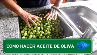 Como Hacer Aceite de Oliva  Olla Itinerante [upl. by Etteiram9]