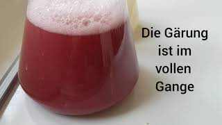 Die Alkoholische Gärung [upl. by Rosenbaum]