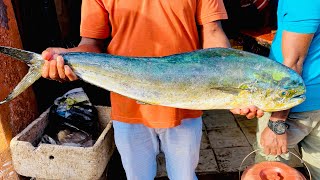 Delicious Big Wanna Paraw Fish Cutting By Expert Fish Cutter Live In Fish Market [upl. by Nerek572]