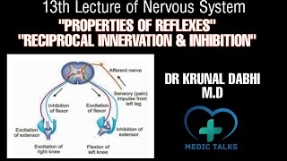 Properties of Reflexes  Reciprocal Innervation amp Inhibition  Dr Krunal Dabhi MD [upl. by Skelly489]