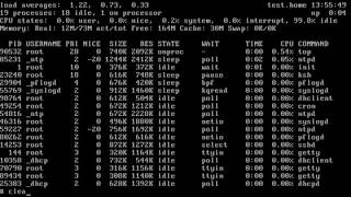 OpenBSD Firewall Setup [upl. by Hulton]