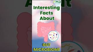 Interesting Facts about the Gut Microbiome  FMD ImuPro [upl. by Gage914]