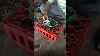 Passion Pro full engine fitting [upl. by Tehr]