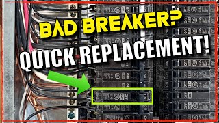 How to Replace a Circuit Breaker  Quick and Simple StepbyStep Process [upl. by Nerrat456]