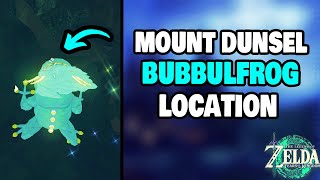 How To Find The Mount Dunsel Bubbulfrog Location Zelda Tears of the Kingdom [upl. by Ofloda45]