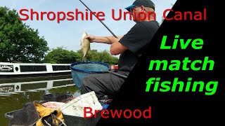 Live match fishing on the Shropshire Union Canal [upl. by Ayanej]