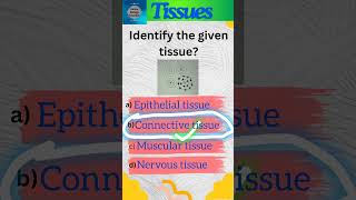 Tissues Part 1  Animal tissues  Class 9 Science  Connective tissue  shorts [upl. by Joub]