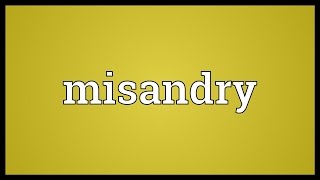 Misandry Meaning [upl. by Damali397]