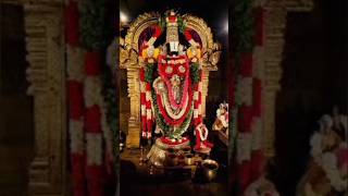 Srinivasa Perumal Kovil [upl. by Dnumsed]