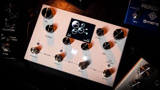 Introducing the Meris LVX  True Stereo Modular Delay amp Looper [upl. by Bolt869]