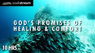 Gods Promises of Healing amp Comfort  10 Hour Scripture Soaking With Gods Word [upl. by Pleasant]