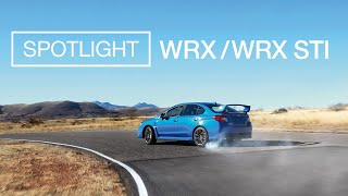 Subaru WRX and WRX STI  Spotlight [upl. by Artenak]