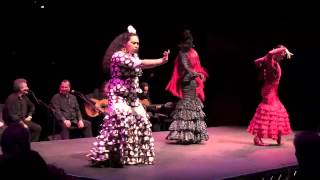 Flamenco Abierto Alegrias [upl. by Manlove]