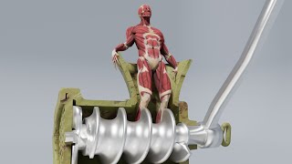 HUMAN BODY vs MEAT GRINDER animation [upl. by Macdonell]