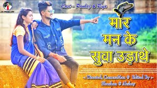 Savrengi Gori Mor Maina  Mor Man ke Suva Udathe  Cg Music Line  Pankaj riya  Cg Song [upl. by Ayhtin288]