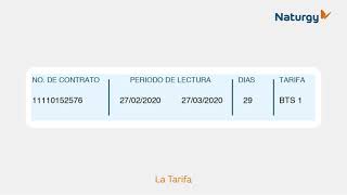 Naturgy  Como leer tu factura [upl. by Brita]