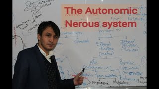 Pharmacology Drugs Affecting the Autonomic Nervous SystemLecture 1 فارمکولوژی  سیستم عصبی خودکار [upl. by Iddet]