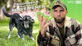 2 CONSEILS contre les ABOIEMENTS de votre chien [upl. by Theurich]