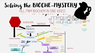 SOLVING THE BIOCHEMYSTERY  ALL OF FNM BIOCHEM REACTIONS [upl. by Nylaehs99]