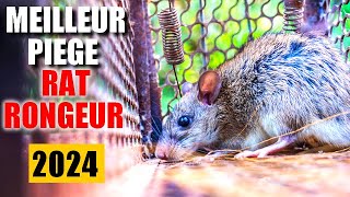 MEILLEURS PIÈGES À RATS ET SOURIS PROFESSIONNELS 🚨 ÉLIMINEZ LES RONGEURS EN 2024 🪤 [upl. by Tsenre531]