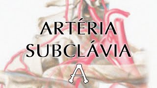 🥇 ARTERIA MAXILAR INTERNA Anatomía ¡Explicación Sencilla [upl. by Arikal232]